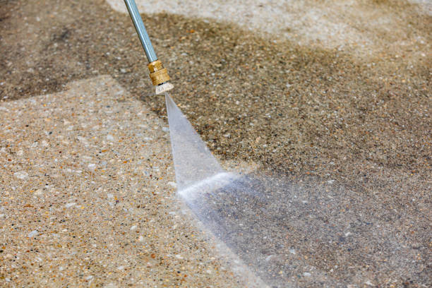 Best Animal Enclosure Cleaning  in Stirling, NJ