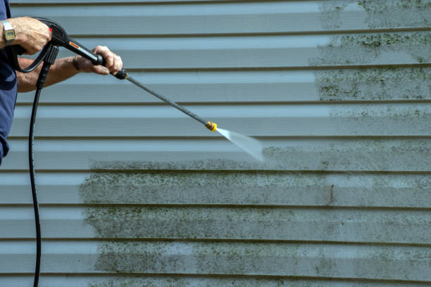 Best Patio and Deck Pressure Washing  in Stirling, NJ